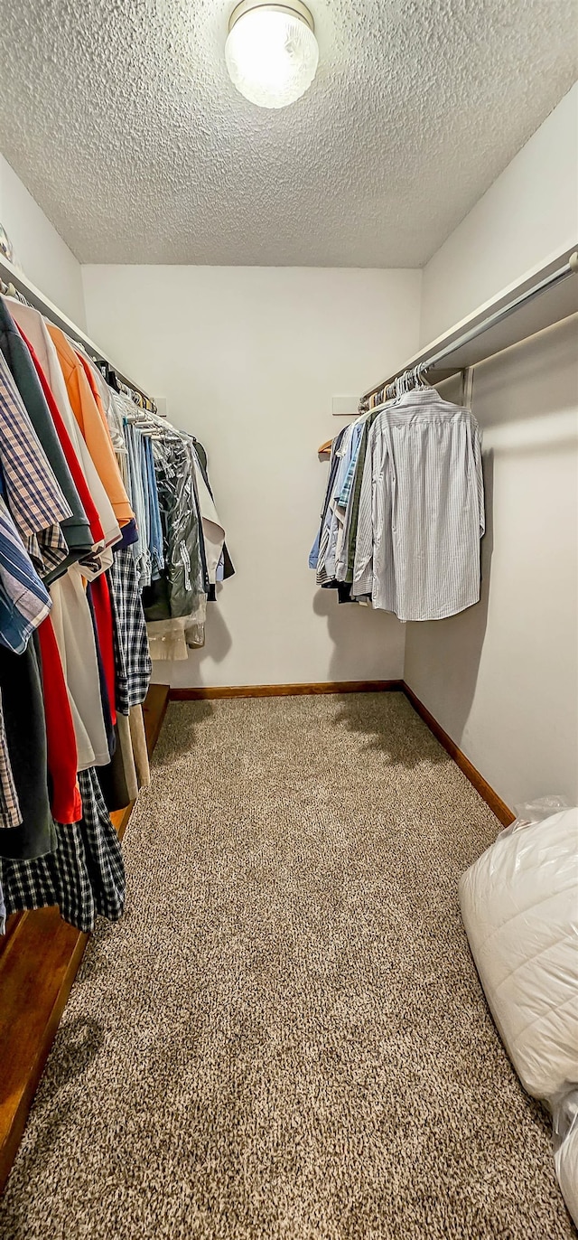 walk in closet with carpet floors