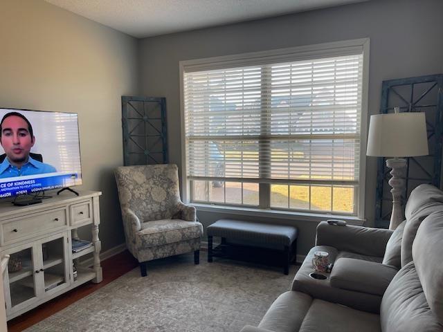 living room with hardwood / wood-style floors and a healthy amount of sunlight