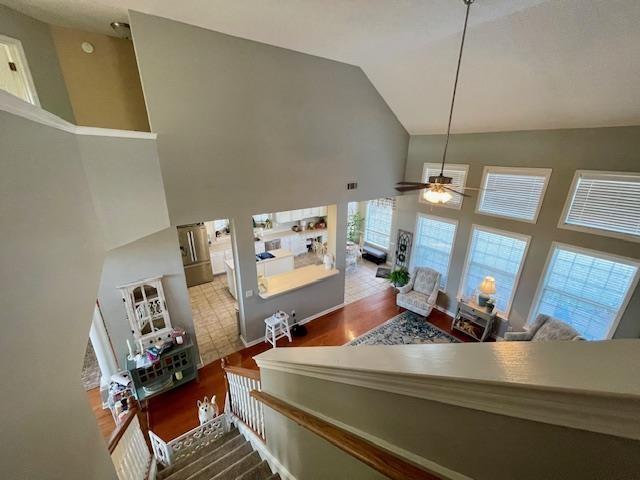 kitchen with hardwood / wood-style flooring, ceiling fan, and high vaulted ceiling