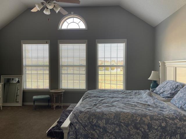 carpeted bedroom featuring ceiling fan and lofted ceiling