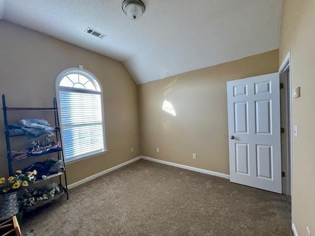 interior space with carpet flooring, a textured ceiling, and vaulted ceiling