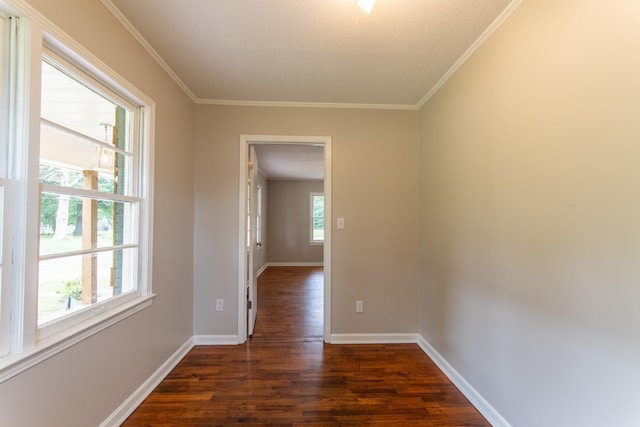 hall with crown molding, dark wood-type flooring, and a textured ceiling