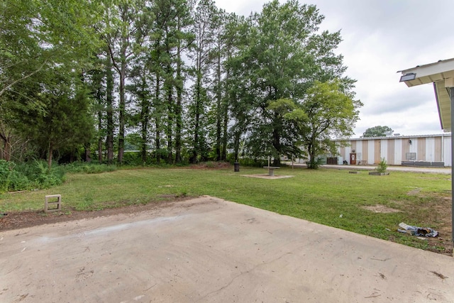 view of yard with a patio area