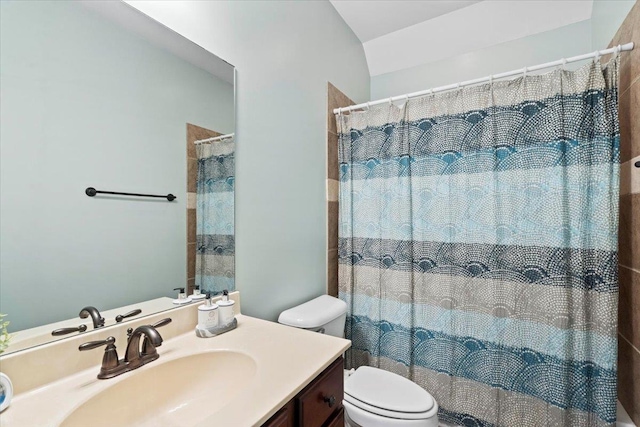 bathroom with walk in shower, vanity, lofted ceiling, and toilet