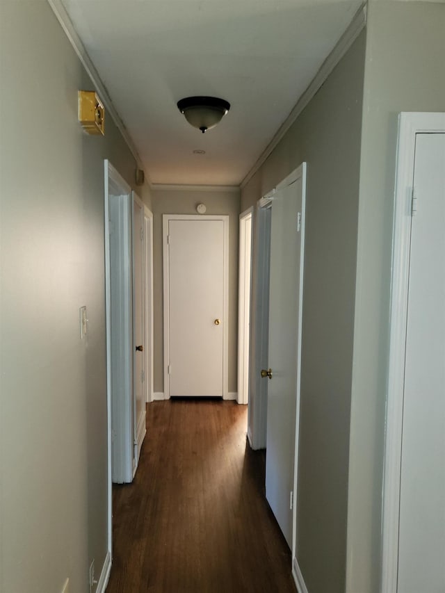 hall with dark hardwood / wood-style floors and crown molding