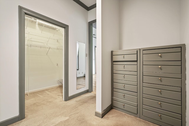 interior space featuring crown molding and light carpet