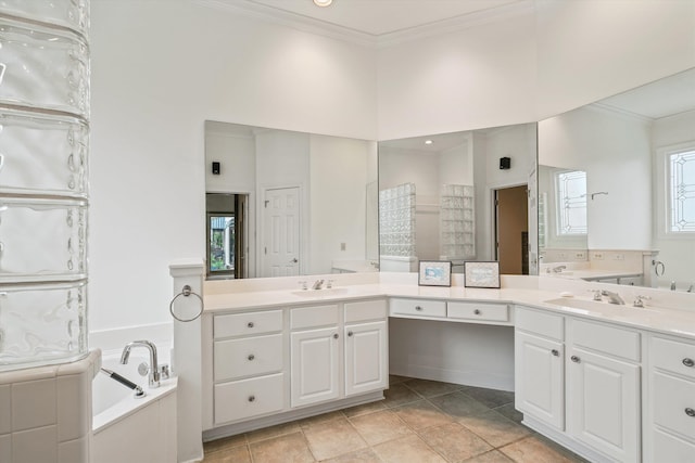 bathroom featuring vanity, ornamental molding, and a washtub