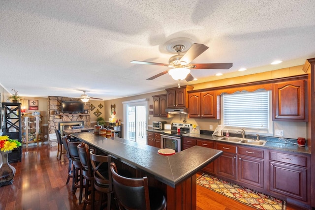 kitchen with dark hardwood / wood-style floors, a healthy amount of sunlight, stainless steel electric range oven, and sink