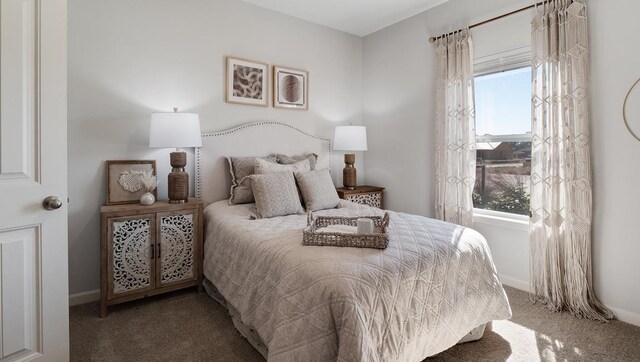 4217 Sandy Hollow Ln S, Millington, TN 38053 - view of carpeted bedroom