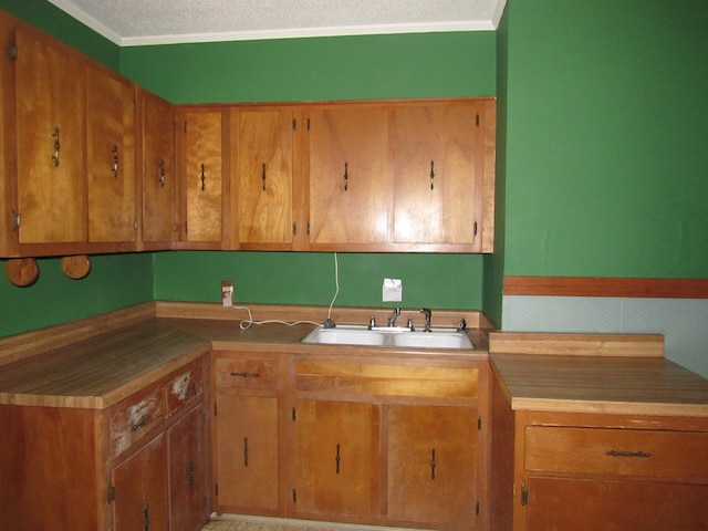 kitchen featuring crown molding, sink, and a textured ceiling