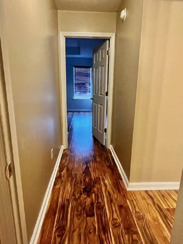 corridor featuring dark hardwood / wood-style floors