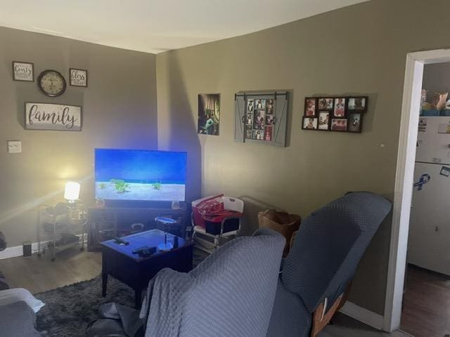 living room with hardwood / wood-style floors