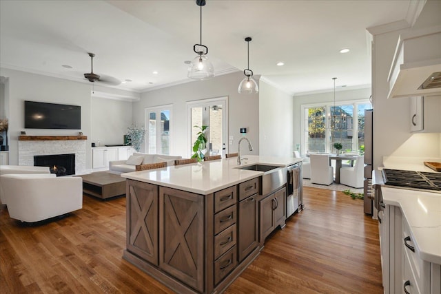 kitchen featuring dark hardwood / wood-style flooring, decorative light fixtures, a healthy amount of sunlight, and sink