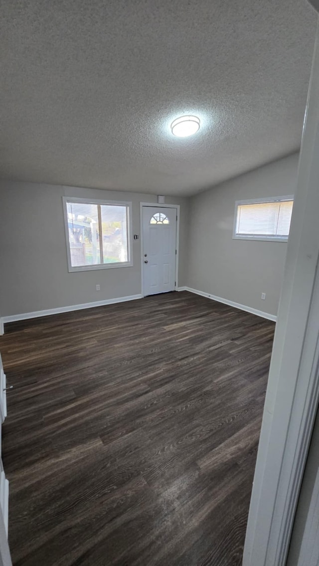 foyer entrance featuring plenty of natural light, dark hardwood / wood-style flooring, and a textured ceiling