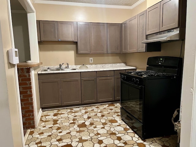 kitchen with gas stove, crown molding, sink, and dark brown cabinets