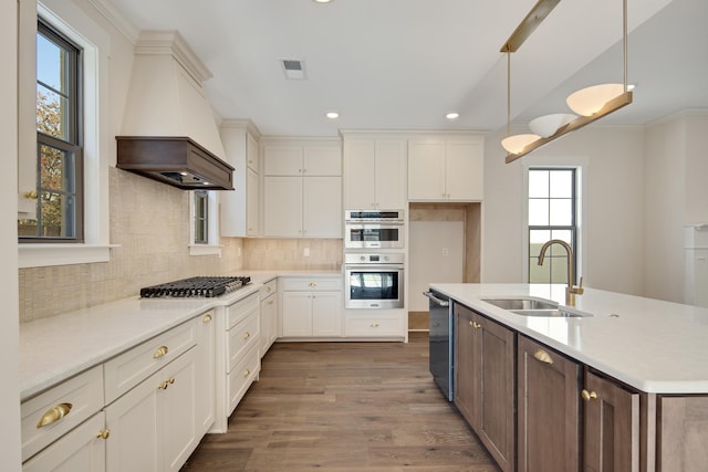 kitchen with a healthy amount of sunlight, sink, stainless steel appliances, and custom exhaust hood