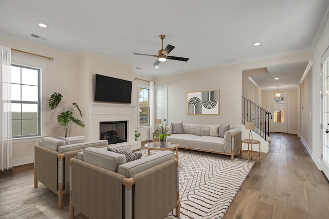 living room featuring ceiling fan, ornamental molding, and light wood-type flooring