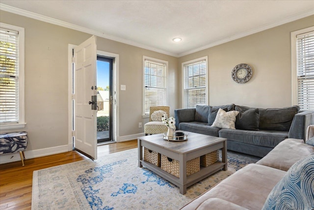 living room featuring wood-type flooring and ornamental molding