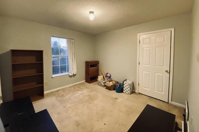 miscellaneous room with light colored carpet and a textured ceiling