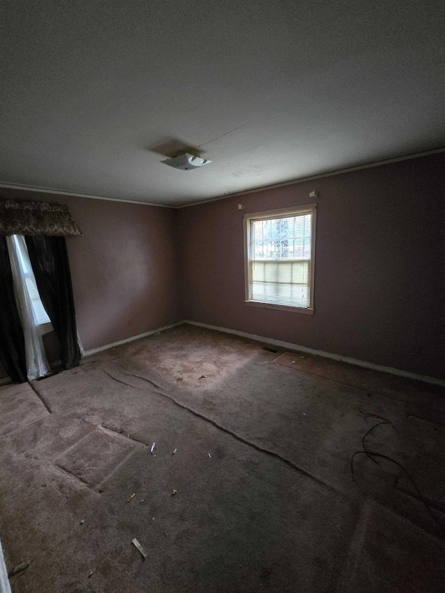 unfurnished room with carpet floors