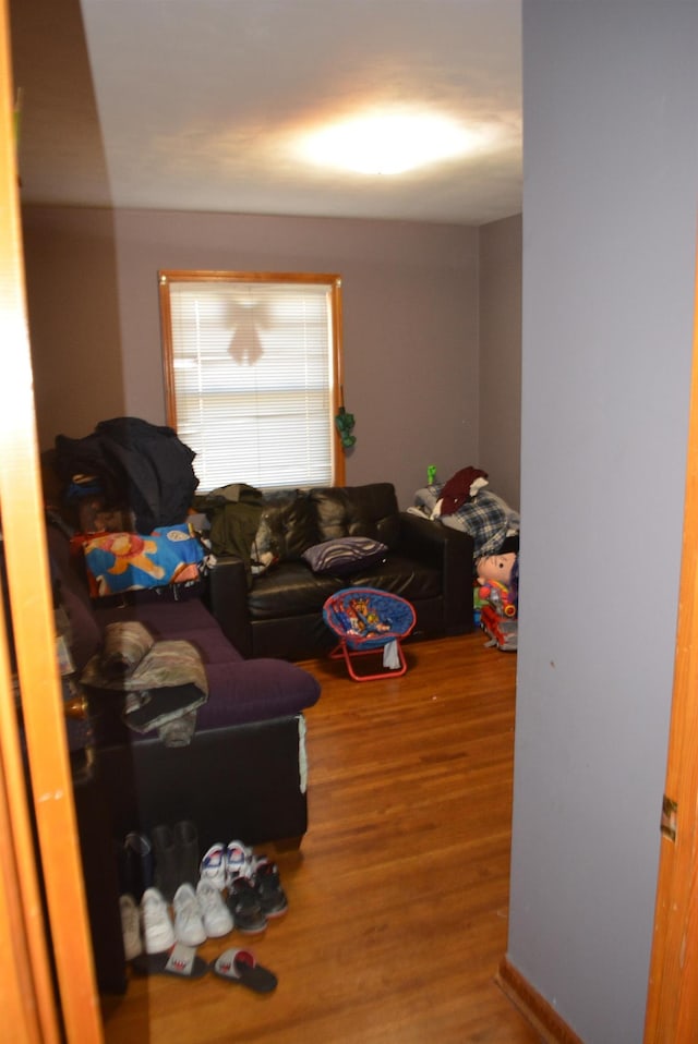 living room featuring hardwood / wood-style floors