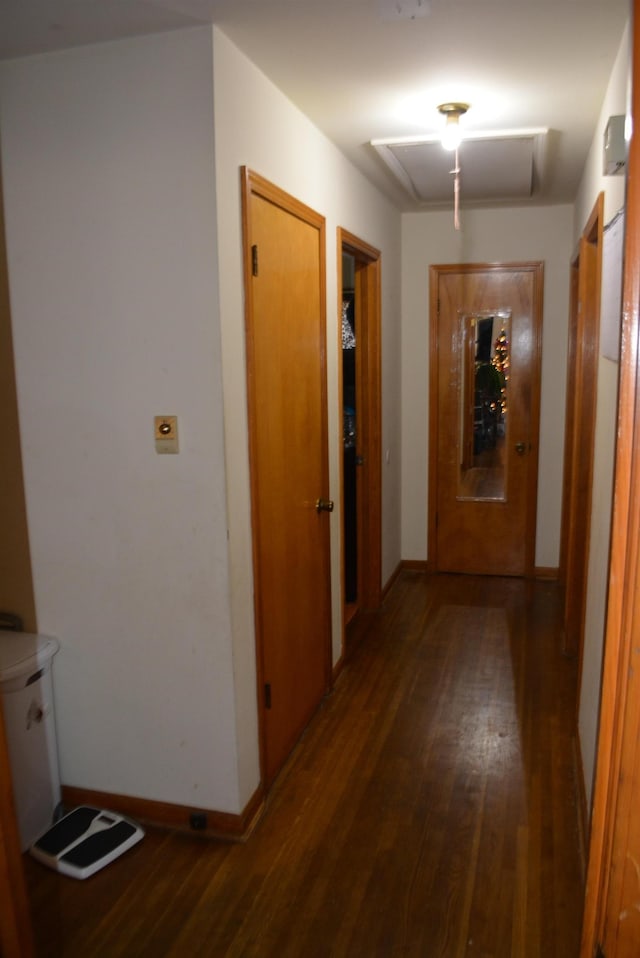 corridor featuring dark wood-type flooring