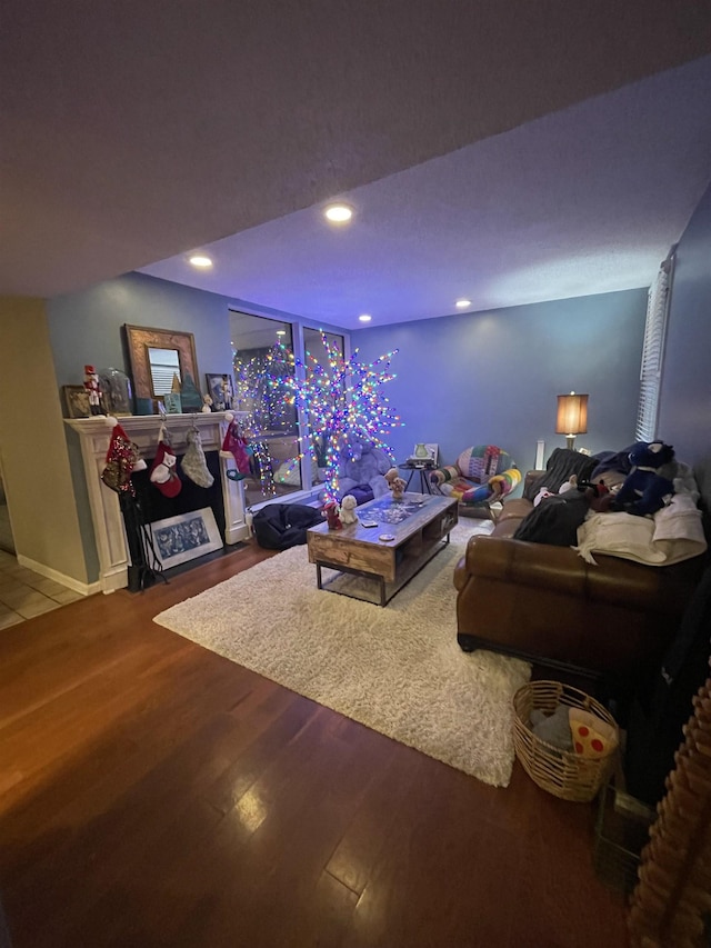 living room featuring wood-type flooring