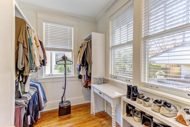 mudroom with crown molding, plenty of natural light, and light hardwood / wood-style flooring