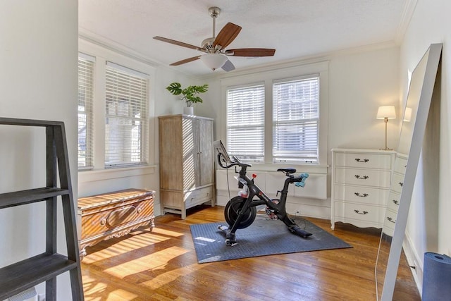 workout room featuring light wood-type flooring, ceiling fan, and ornamental molding