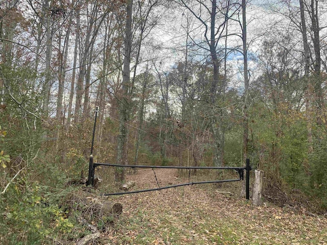 Listing photo 3 for 0 Dickson Rd, Sardis TN 38371