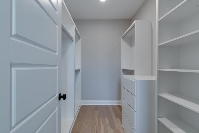 walk in closet with light wood-type flooring