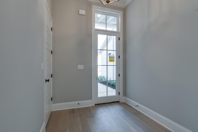 doorway featuring light hardwood / wood-style flooring, a healthy amount of sunlight, and crown molding