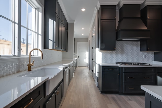 kitchen featuring tasteful backsplash, crown molding, light hardwood / wood-style floors, custom exhaust hood, and appliances with stainless steel finishes