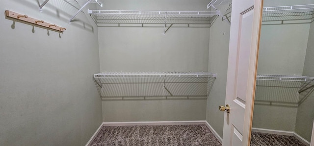 spacious closet with carpet flooring