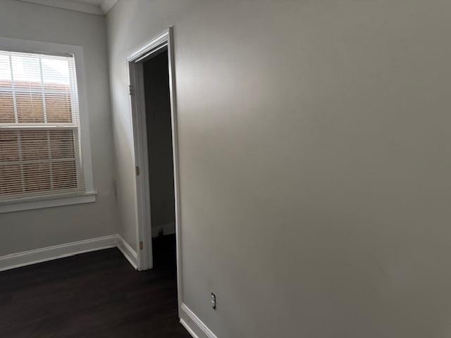 hall featuring dark hardwood / wood-style floors