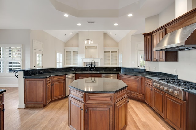 kitchen featuring exhaust hood, sink, light wood-type flooring, a kitchen island, and stainless steel appliances