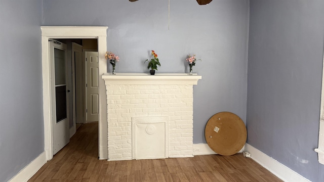 room details featuring a fireplace and hardwood / wood-style flooring