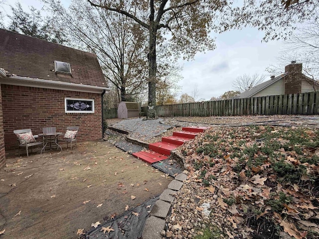 view of yard with a patio and a shed