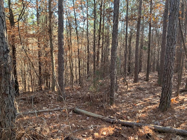 11 Warren Floyd Rd, Selmer TN, 38375 land for sale