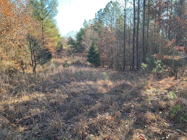 Listing photo 3 for 11 Warren Floyd Rd, Selmer TN 38375