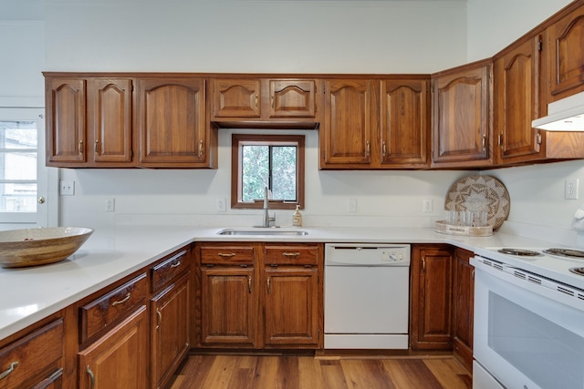 kitchen with light hardwood / wood-style floors, a healthy amount of sunlight, white appliances, and sink