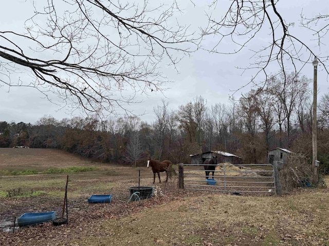 view of yard with a rural view