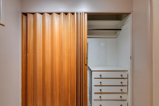 view of closet