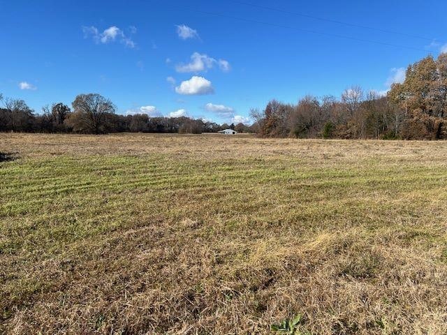 LOT10 Brammer Rd, Mason TN, 38049 land for sale