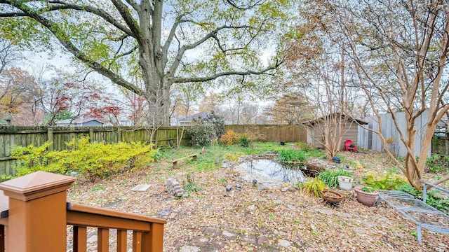 view of yard with a shed