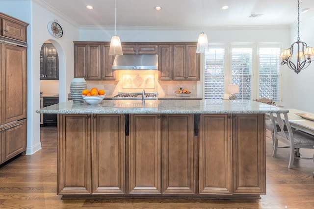 kitchen featuring tasteful backsplash, light stone counters, dark hardwood / wood-style flooring, and an island with sink