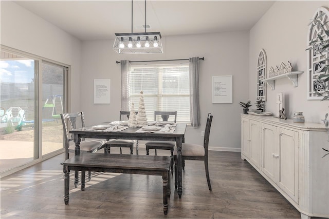 dining room with a healthy amount of sunlight and hardwood / wood-style floors