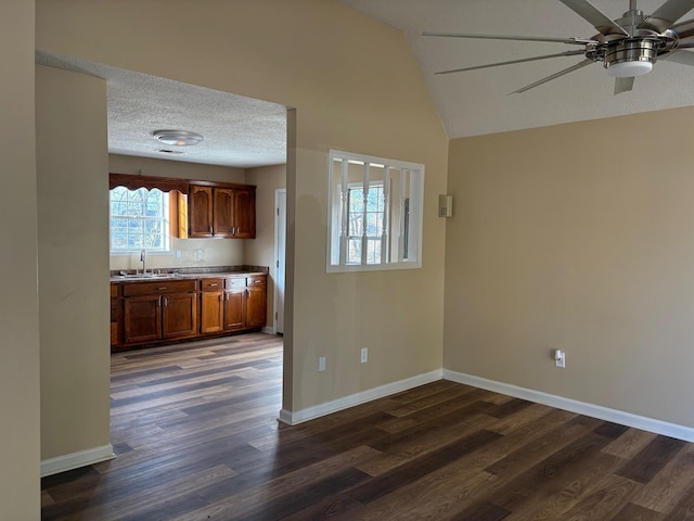 kitchen with lofted ceiling, sink, dark hardwood / wood-style floors, and a textured ceiling