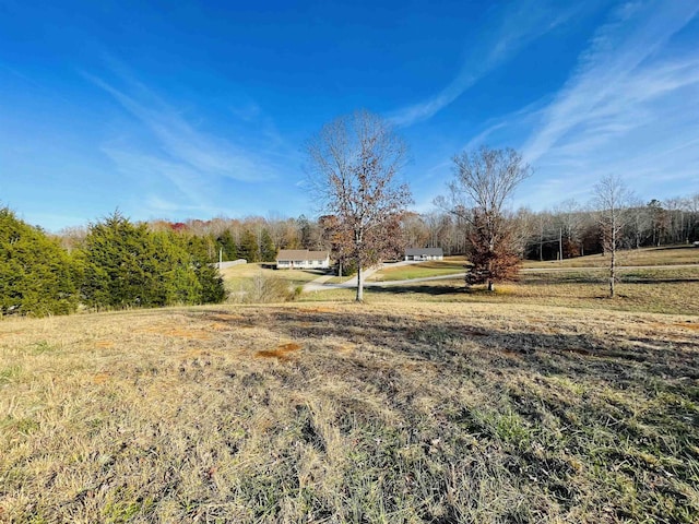 view of yard with a rural view