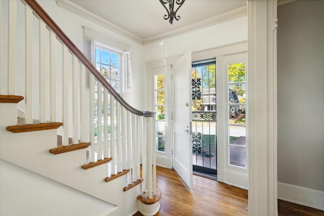 foyer with wood-type flooring and ornamental molding